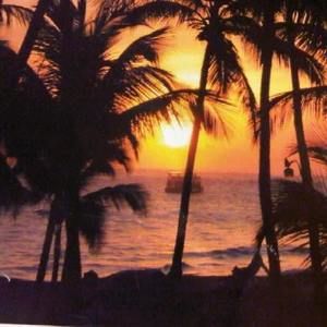 Meet your Posher, Candace